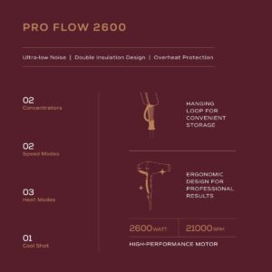 Winston Pro Flow 2600 Watt Professional Hair Dryer with 3 Heat, 2 Speed Settings & 1 Cool Shot Interchangeable Nozzles for Smooth Salon Styling for Men & Women, All Hair Types